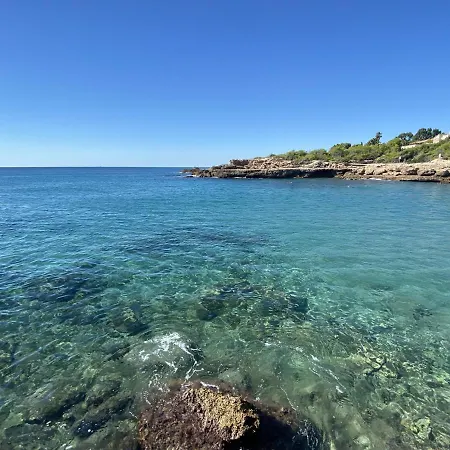 Libelula L'Ametlla de Mar