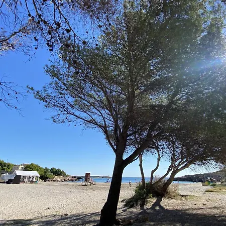 Libelula L'Ametlla de Mar